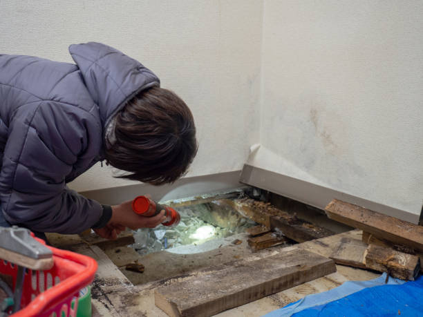 Biohazard Mold Removal in Hazardville, CT