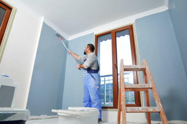 Best Attic Mold Removal  in Hazardville, CT